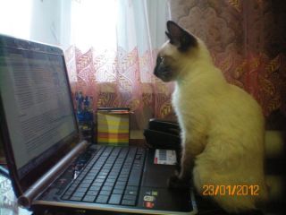  - . att-522783ddadc950273.JPG
