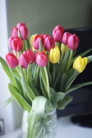  -  . att-525fa07f593a0GZl4.jpg