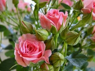  - . att-52ee32d10193c17_L.jpg