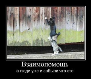  - . att-52fd140f36a2c____.jpg