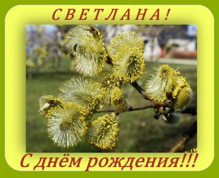  - . att-5354c8565ff3clane.jpg