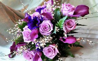  - . att-546ef21c78a0e____.jpg
