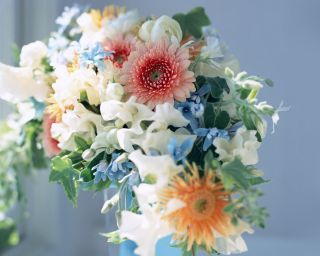  - . att-552ec4bbb6e9f2560.jpg