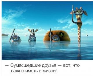 -  . att-553e4dc6dd721mage.jpg