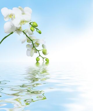  -  . att-560f8c06b60c5598.jpg