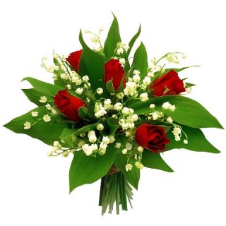  - . att-5718741a40a9fbico.jpg