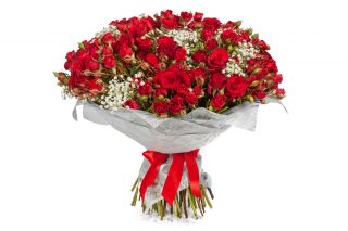  - . att-58fa4c167dbee1_27.jpg
